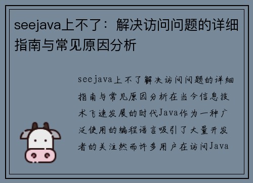 seejava上不了：解决访问问题的详细指南与常见原因分析